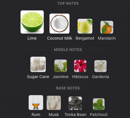 Rayhaan Aquatica EDP 100 ML